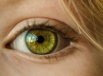 Eyes