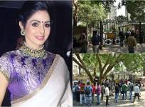 Sridevi