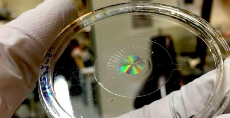 Metalens (made of silicon) mounted on a transparent, stretchy polymer film, without any electrodes. Artificial Eye, Metalens, Artificial muscles, elastomers