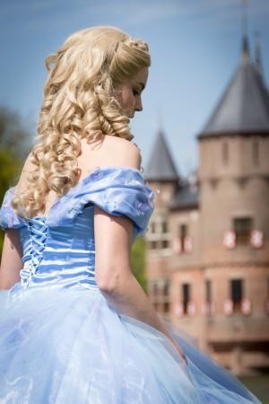 (Picture for representation) Cinderella