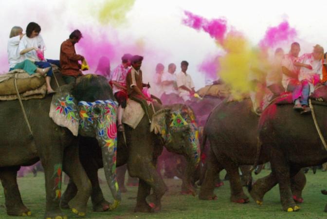 Holi in Jaipur, Rajasthan. Holi jaipur