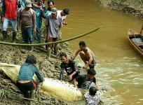 Man mauled to death by crocodile in indonesia