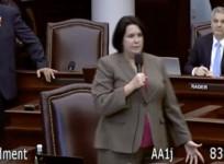 Only thoughts and prayers stop evil school shooters - Florida State Senator