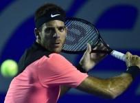 Juan Martin del Potro