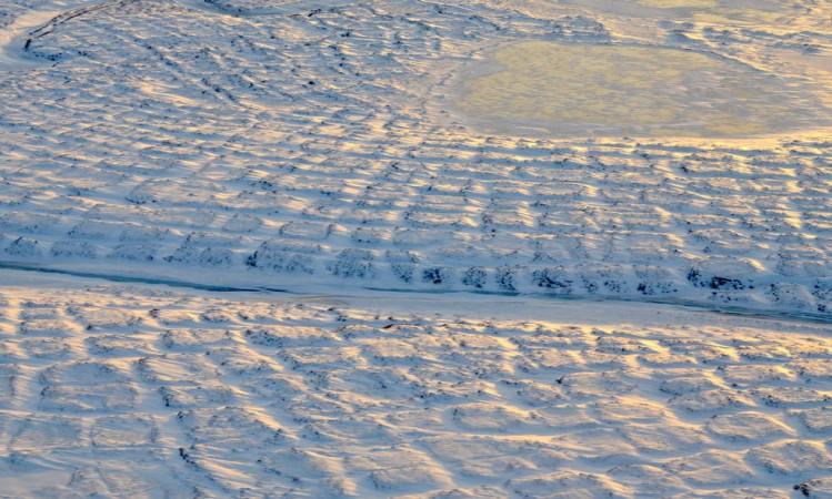 Tundra polygons on Alaska's North Slope. As permafrost thaws, this area is likely to be a source of atmospheric carbon before 2100. Tundra polygons on Alaska's North Slope. As permafrost thaws, this area is likely to be a source of atmospheric carbon before 2100