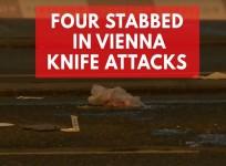Four people seriously injured in Vienna knife attacks