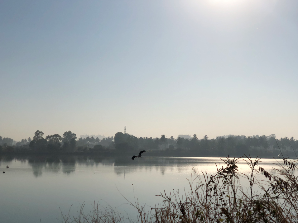 Apple, iPhone X, design, display, camera, performance, battery, review