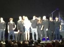 Country music star Tim McGraw collapses onstage at Dublin concert