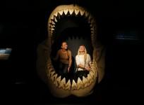 Megalodon jaws