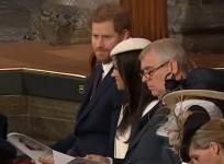 Prince Harry leaves Meghan Markle in hysterics after Liam Payne performance