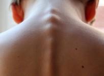 neck