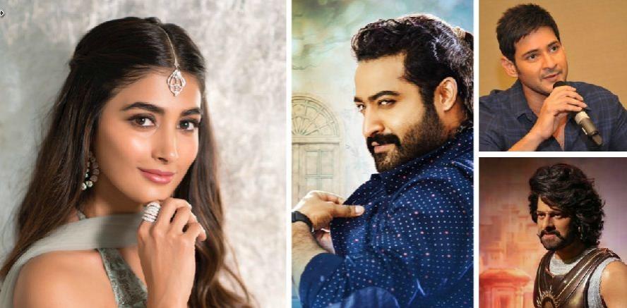 Pooja Hegde will be teaming up with Prabhas, Jr NTR and Mahesh Babu in their upcoming movies. Pooja Hegde to Romance Prabhas, Jr NTR and Mahesh Babu