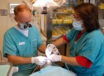 dentist