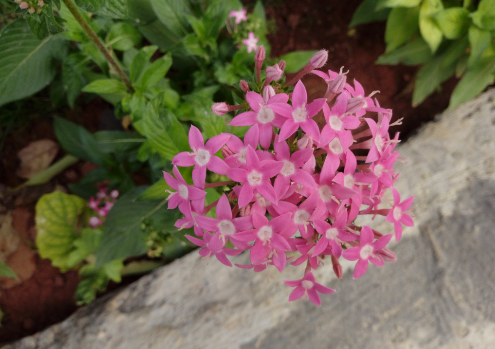 Tecno, Camon i, review, display, design,performance, camera, battery