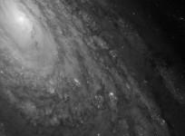 Messier M88