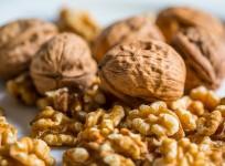 walnut