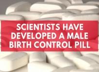 Scientists Have Developed A Male Birth Control Pill