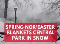Spring Noreaster blankets Central Park in snow