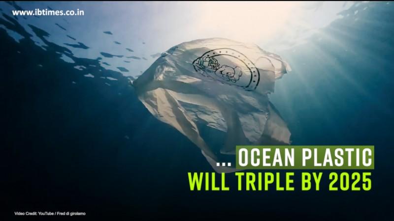 Plastic Oceans Predicted Triple By 2025 ?h=450&l=50&t=40