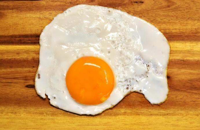Representational image. fried egg