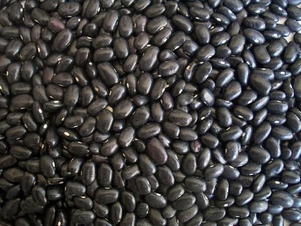 Representational image. black beans