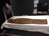 2,500-year old coffin