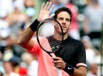 Juan Martin del Potro