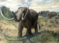 Mastodon