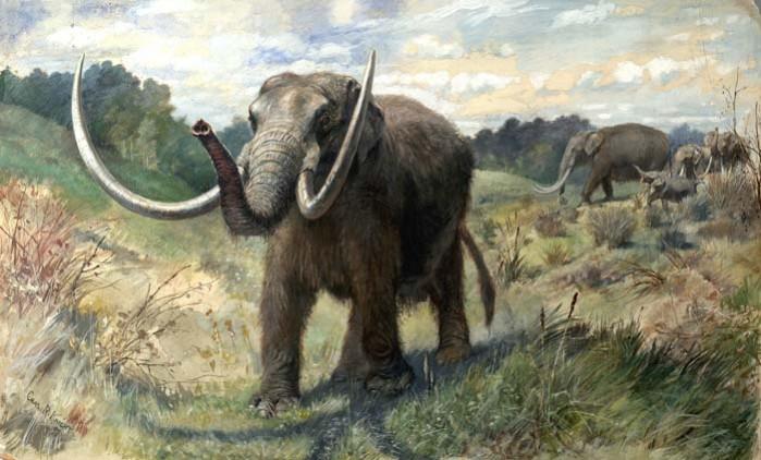 (Picture for representation) The three boys were on a spring break when they were exploring the land. Mastodon