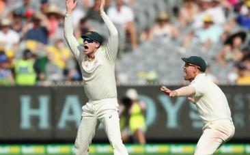 Steven Smith-David Warner