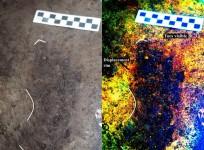 Terminal Pleistocene epoch human footprints from the Pacific coast of Canada