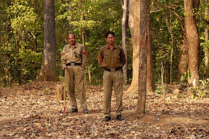 The forest officials have not been able to trace the child. (Representational Image) The forest official