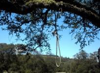 Noose