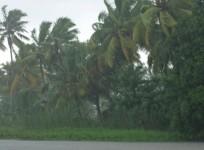 Rainfall