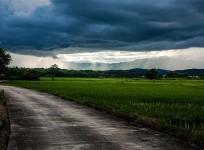 Rainfall