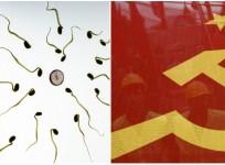 Chinese sperm bank seeks loyalty to communist party