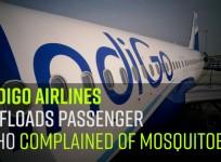 IndiGo Airlines forcibly offloads 'aggressive' doctor