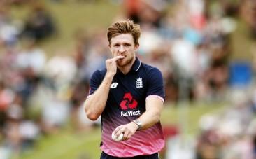 David Willey
