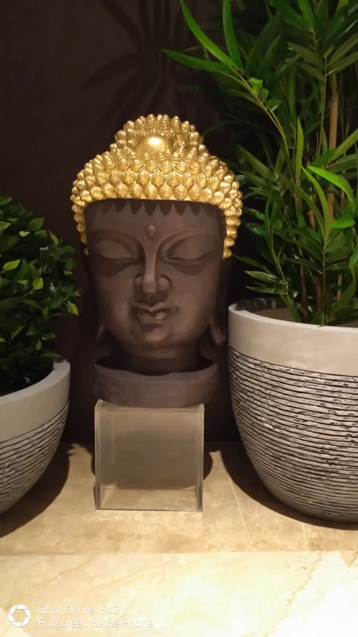 itel S42 Review: Camera Performance itel S42 Review: Camera Performance