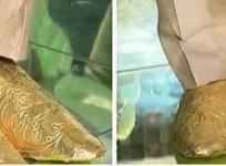 Pakistani groom's golden shoe
