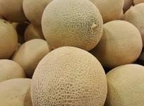 Rockmelon