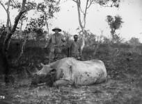 Big game hunting