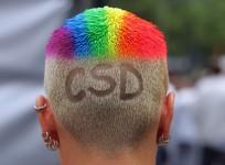 hairstyle