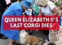 Queen Elizabeth IIs last corgi dies