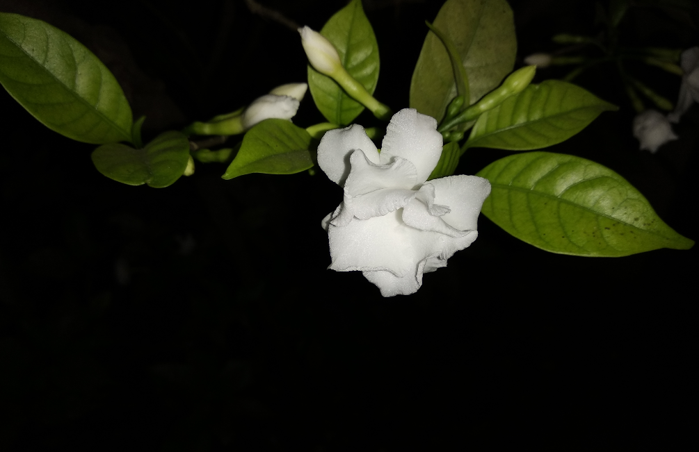 Xiaomi Redmi 5 camera same taken during the night Xiaomi, Redmi 5, review, performance, battery, design, camera
