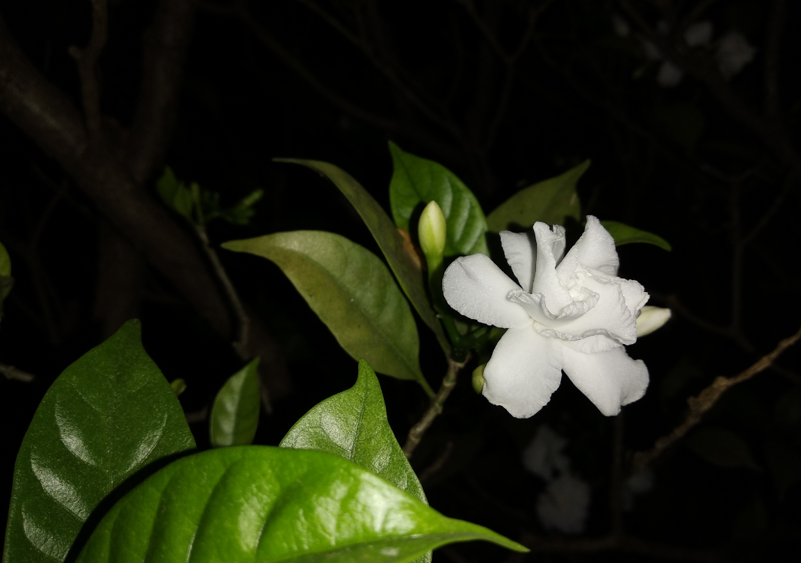 Xiaomi Redmi 5 primary camera sample taken during the night Xiaomi, Redmi 5, review, performance, battery, design, camera