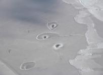Arctic circles