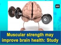 Muscular strength may enhance brain health: Study