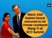 Sushma Swaraj welcomed by her Chinese counterpart at SCO Summit