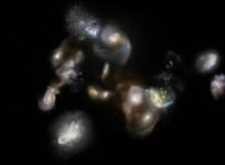 Galaxy cluster